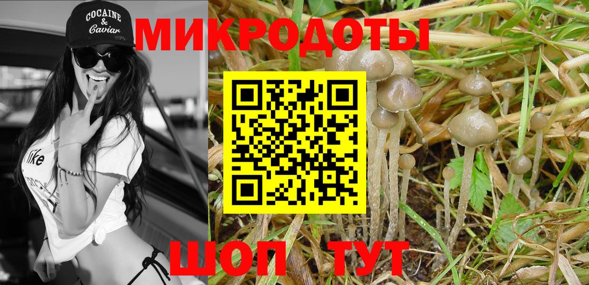 Галлюциногенные грибы мицелий Новочебоксарск