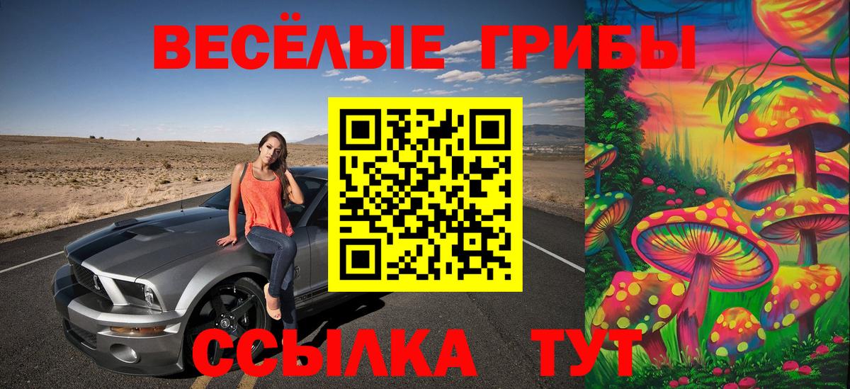 Галлюциногенные грибы Magic Shrooms  цена наркотик  Вход с VPN  Новочебоксарск  Псилоцибиновые грибы ЛСД 